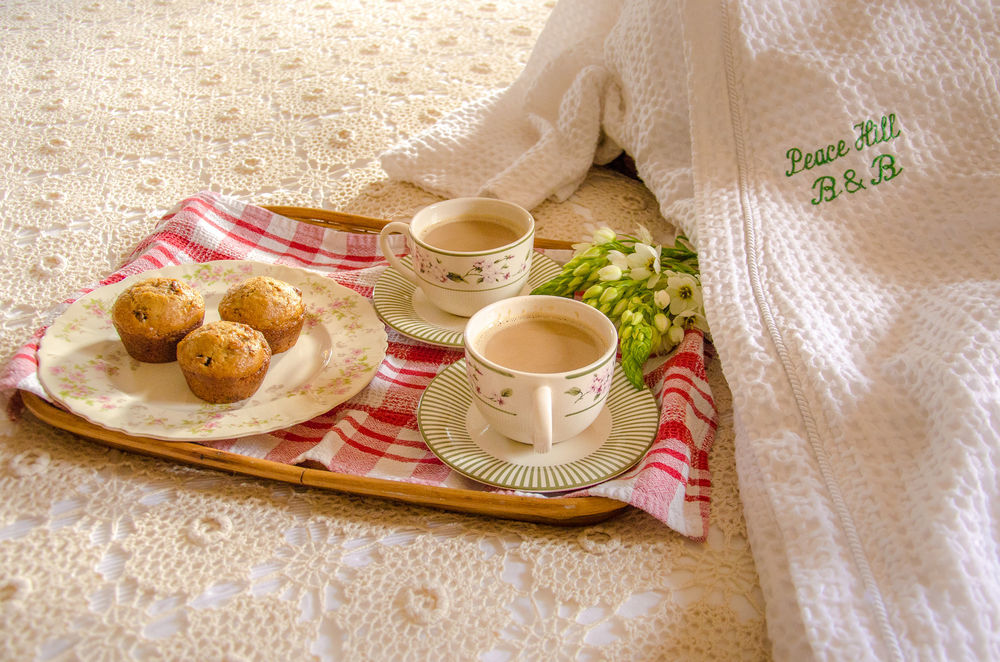 The Bed And Breakfast At Peace Hill Charles City Esterno foto